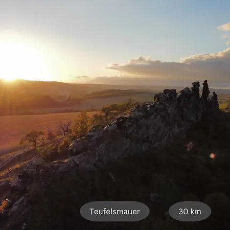 Lejlighed Mitten Im Harz, Skipistennaehe, Wanderwege Zum Brocken