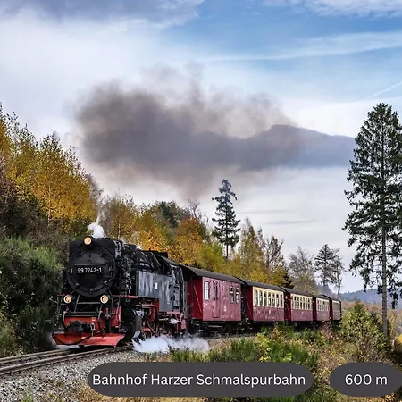 Апартаменты Mitten Im Harz, Skipistennaehe, Wanderwege Zum Brocken