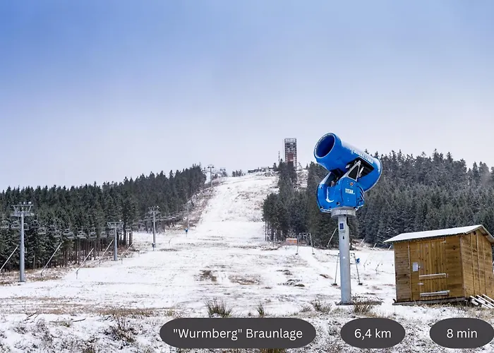 Apartamento Mitten Im Harz, Skipistennaehe, Wanderwege Zum Brocken