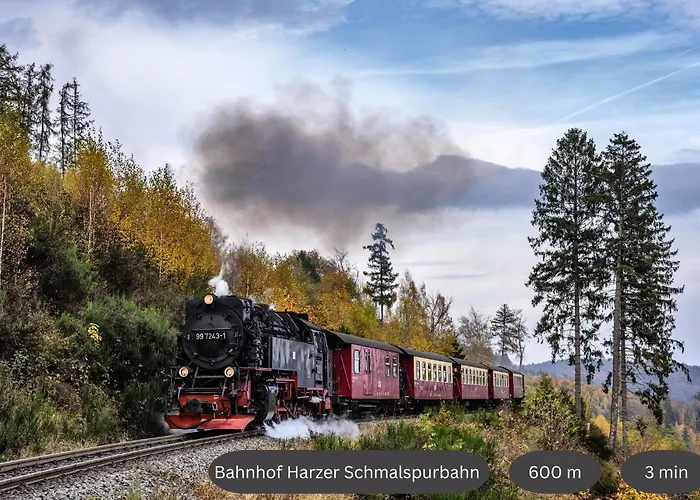 Apartamento Mitten Im Harz, Skipistennaehe, Wanderwege Zum Brocken
